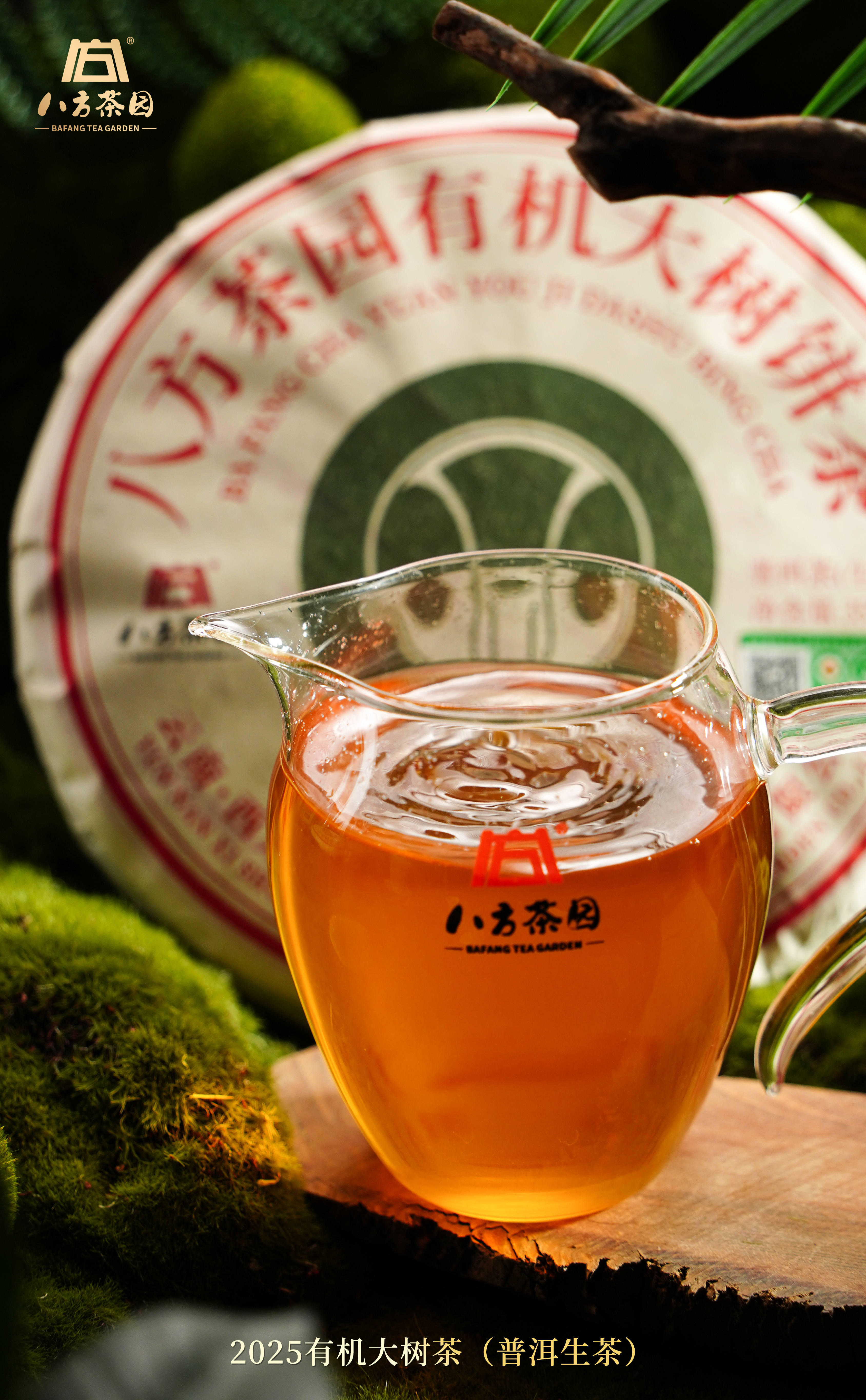 2026茶叶小青柑普洱茶叶厂家推荐广东八方茶园匠心工艺品质之